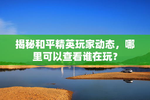 揭秘和平精英玩家动态，哪里可以查看谁在玩？