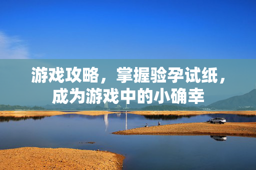 游戏攻略，掌握验孕试纸，成为游戏中的小确幸