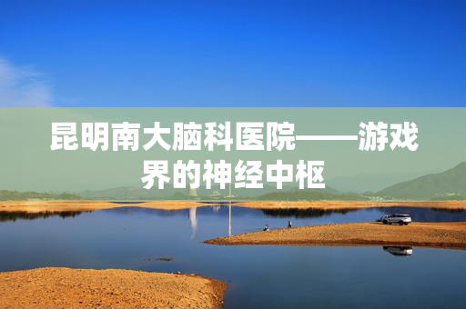 昆明南大脑科医院——游戏界的神经中枢