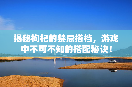 揭秘枸杞的禁忌搭档，游戏中不可不知的搭配秘诀！