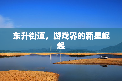 东升街道，游戏界的新星崛起