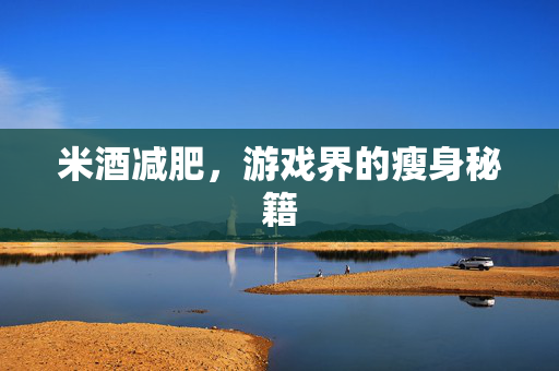 米酒减肥，游戏界的瘦身秘籍