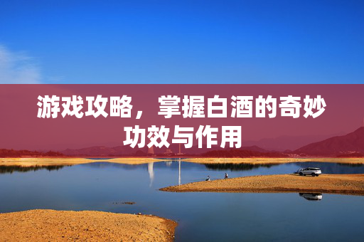 游戏攻略，掌握白酒的奇妙功效与作用