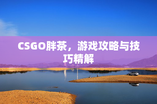 CSGO胖茶，游戏攻略与技巧精解