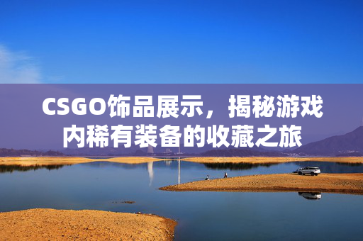 CSGO饰品展示，揭秘游戏内稀有装备的收藏之旅