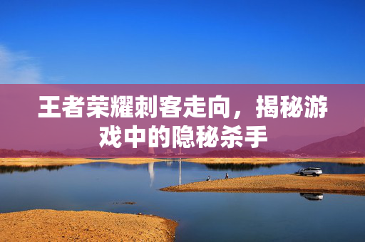 王者荣耀刺客走向，揭秘游戏中的隐秘杀手