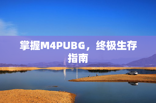掌握M4PUBG，终极生存指南