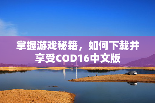 掌握游戏秘籍，如何下载并享受COD16中文版