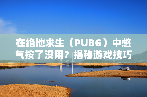 在绝地求生（PUBG）中憋气按了没用？揭秘游戏技巧与策略