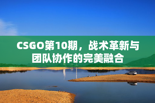 CSGO第10期，战术革新与团队协作的完美融合