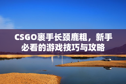 CSGO裹手长颈鹿粗，新手必看的游戏技巧与攻略