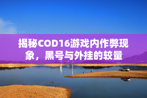 揭秘COD16游戏内作弊现象，黑号与外挂的较量