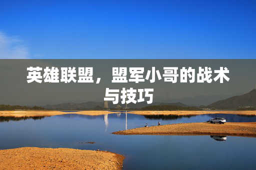 英雄联盟，盟军小哥的战术与技巧