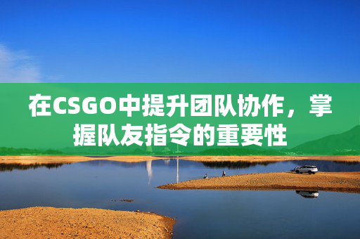 在CSGO中提升团队协作，掌握队友指令的重要性
