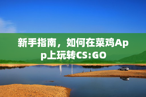 新手指南，如何在菜鸡App上玩转CS:GO