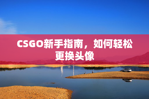 CSGO新手指南，如何轻松更换头像