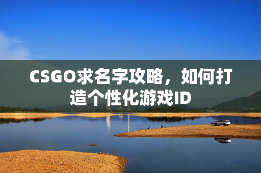 CSGO求名字攻略，如何打造个性化游戏ID