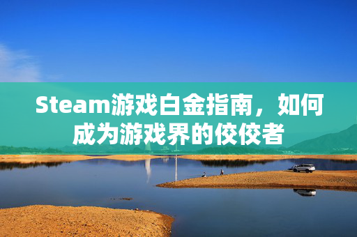 Steam游戏白金指南，如何成为游戏界的佼佼者