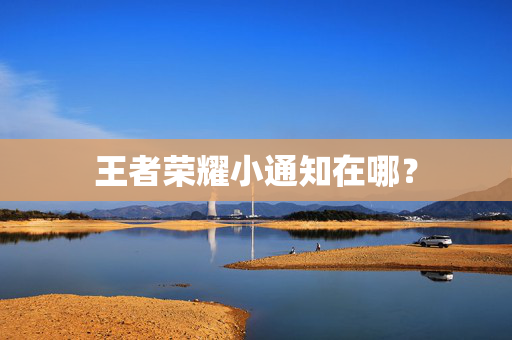 王者荣耀小通知在哪？