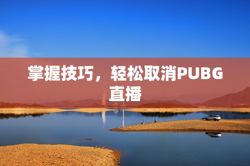 掌握技巧，轻松取消PUBG直播