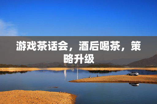游戏茶话会，酒后喝茶，策略升级