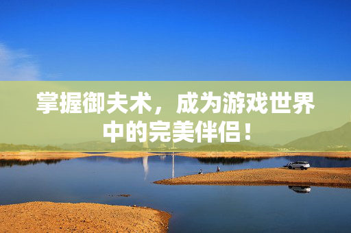 掌握御夫术，成为游戏世界中的完美伴侣！