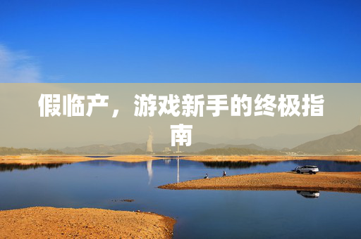 假临产，游戏新手的终极指南