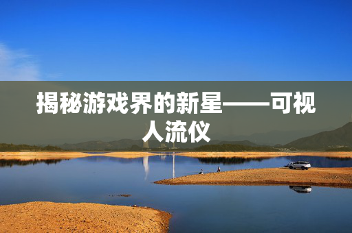 揭秘游戏界的新星——可视人流仪