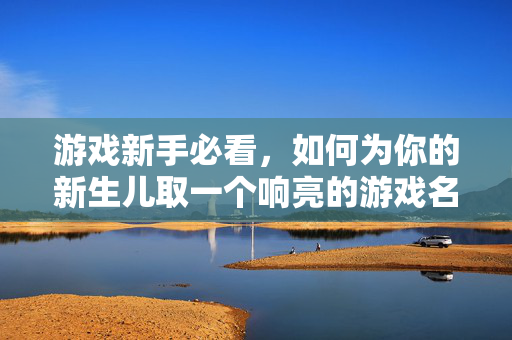 游戏新手必看，如何为你的新生儿取一个响亮的游戏名字