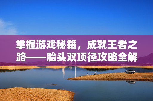 掌握游戏秘籍，成就王者之路——胎头双顶径攻略全解析