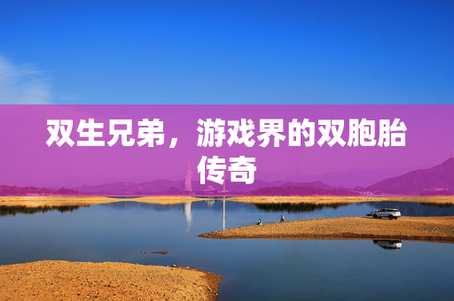 双生兄弟，游戏界的双胞胎传奇