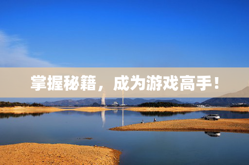掌握秘籍，成为游戏高手！