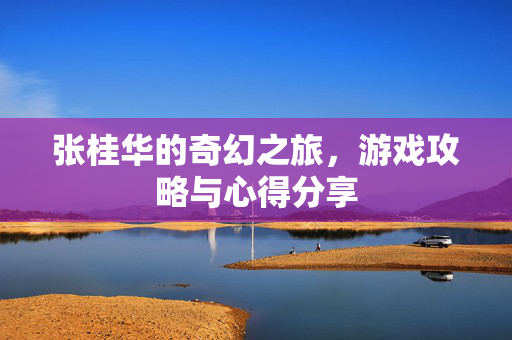 张桂华的奇幻之旅，游戏攻略与心得分享