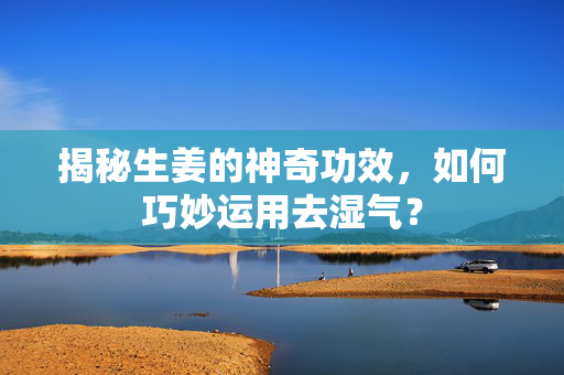 揭秘生姜的神奇功效，如何巧妙运用去湿气？