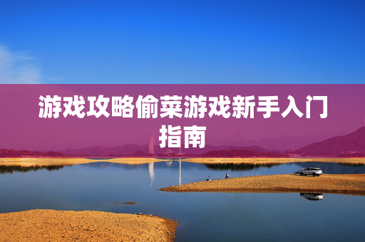 游戏攻略偷菜游戏新手入门指南