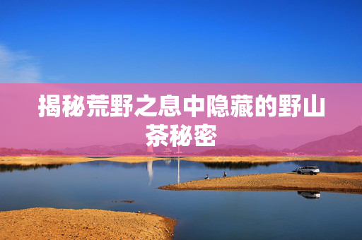 揭秘荒野之息中隐藏的野山茶秘密