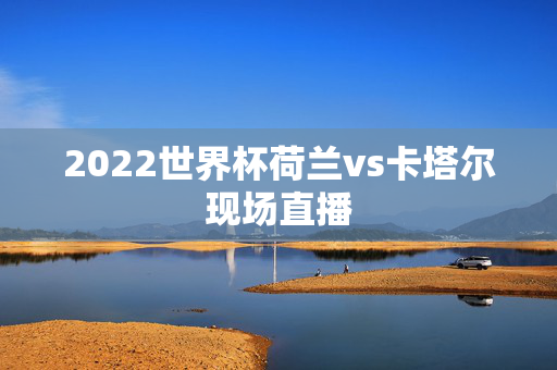 2022世界杯荷兰vs卡塔尔现场直播