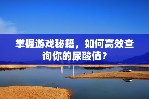 掌握游戏秘籍，如何高效查询你的尿酸值？