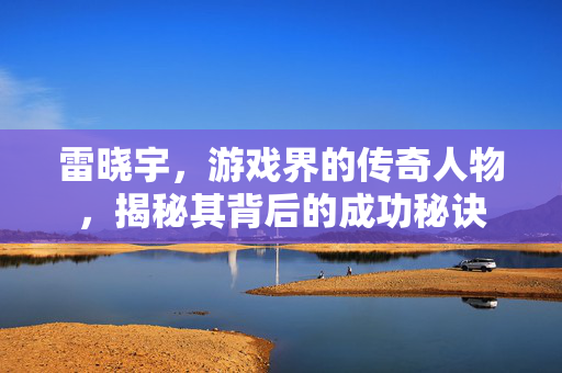 雷晓宇，游戏界的传奇人物，揭秘其背后的成功秘诀