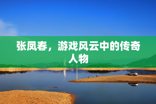 张凤春，游戏风云中的传奇人物