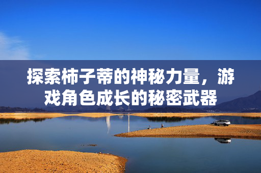 探索柿子蒂的神秘力量，游戏角色成长的秘密武器