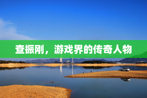 查振刚，游戏界的传奇人物