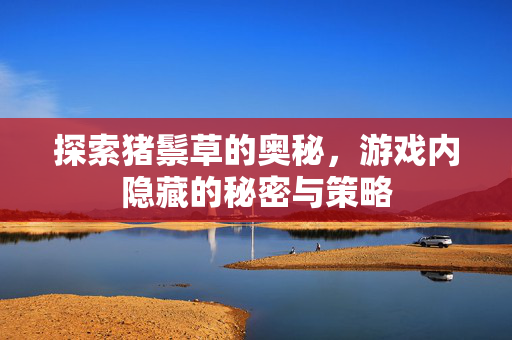 探索猪鬃草的奥秘，游戏内隐藏的秘密与策略