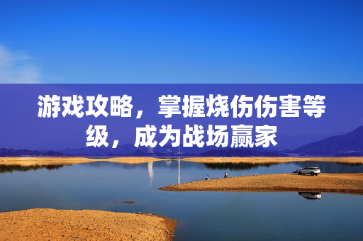 游戏攻略，掌握烧伤伤害等级，成为战场赢家