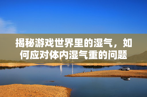揭秘游戏世界里的湿气，如何应对体内湿气重的问题