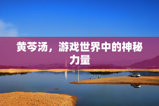 黄芩汤，游戏世界中的神秘力量