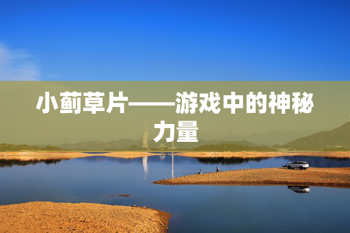 小蓟草片——游戏中的神秘力量