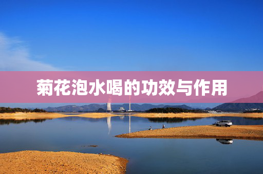 菊花泡水喝的功效与作用
