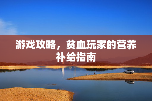 游戏攻略，贫血玩家的营养补给指南