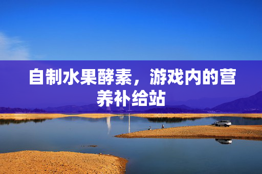 自制水果酵素，游戏内的营养补给站